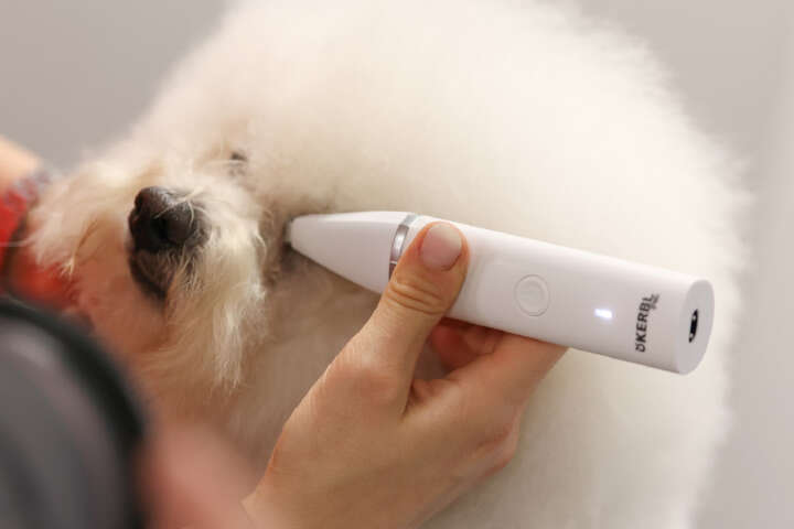 KERBL Akkuschermaschine Multitrimmer 4in1